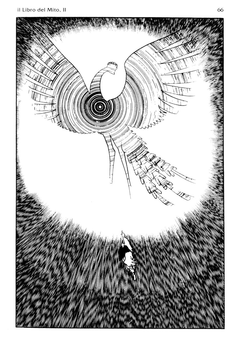 Read La fenice Manga Online