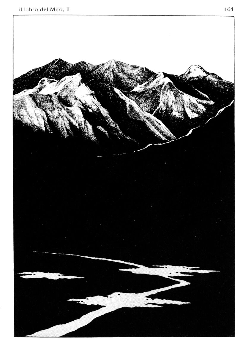 Read La fenice Manga Online