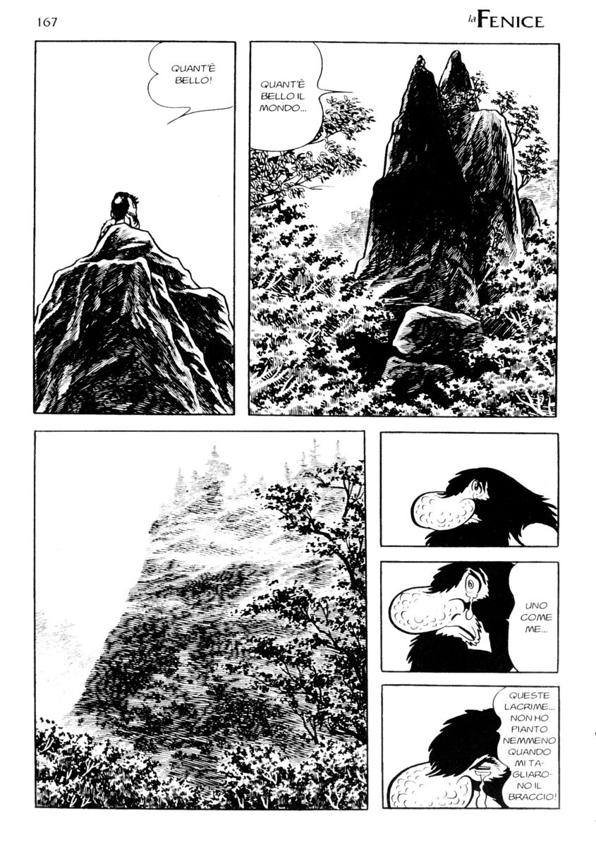 Read La fenice Manga Online