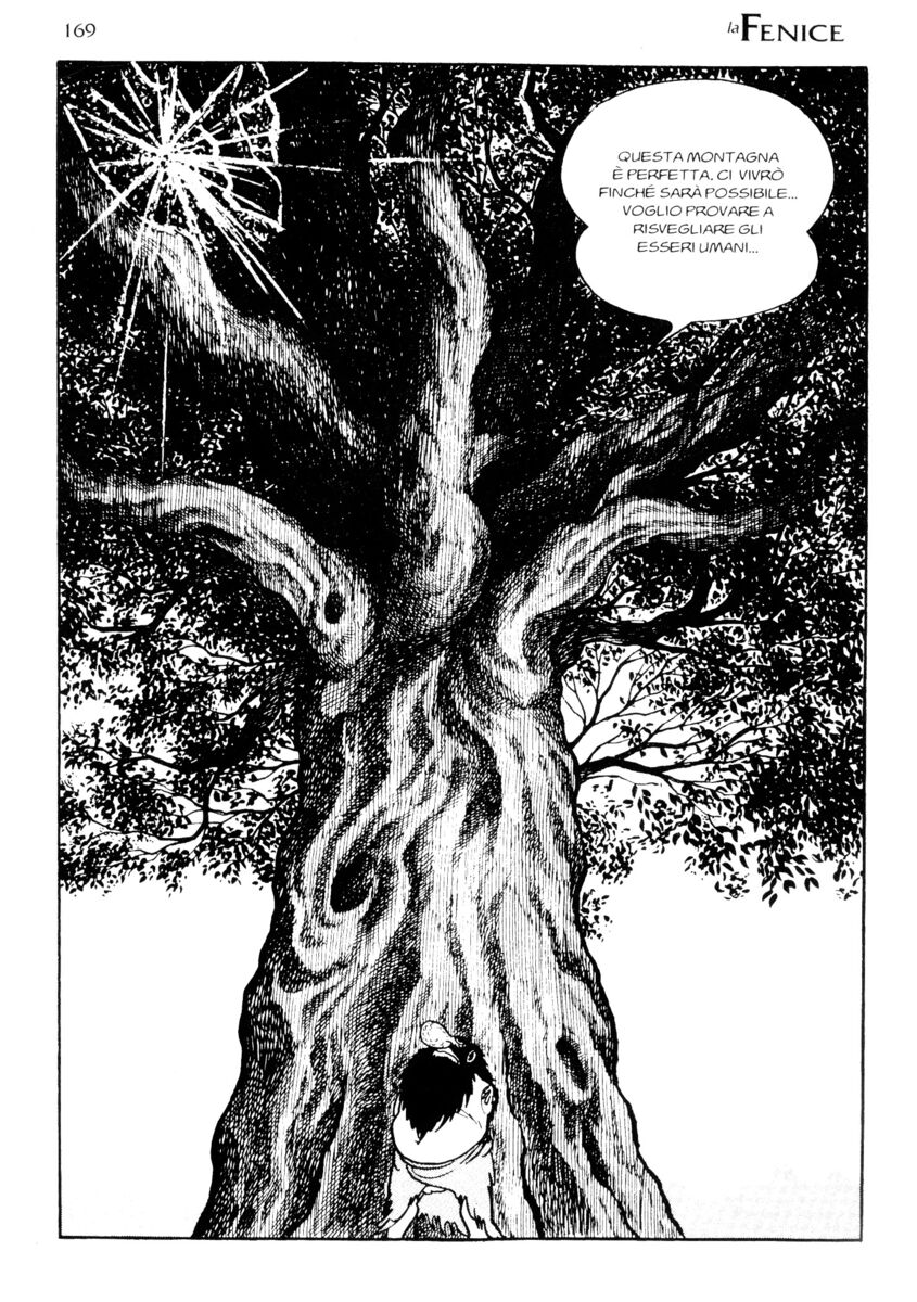 Read La fenice Manga Online