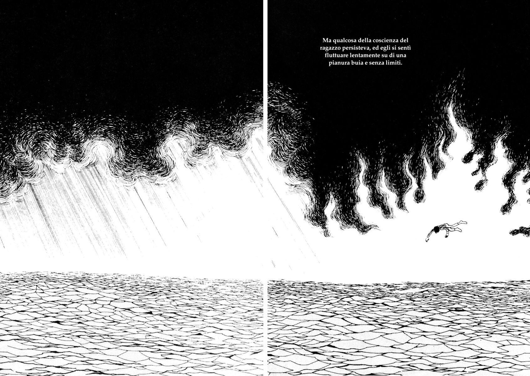 Read La fenice Manga Online