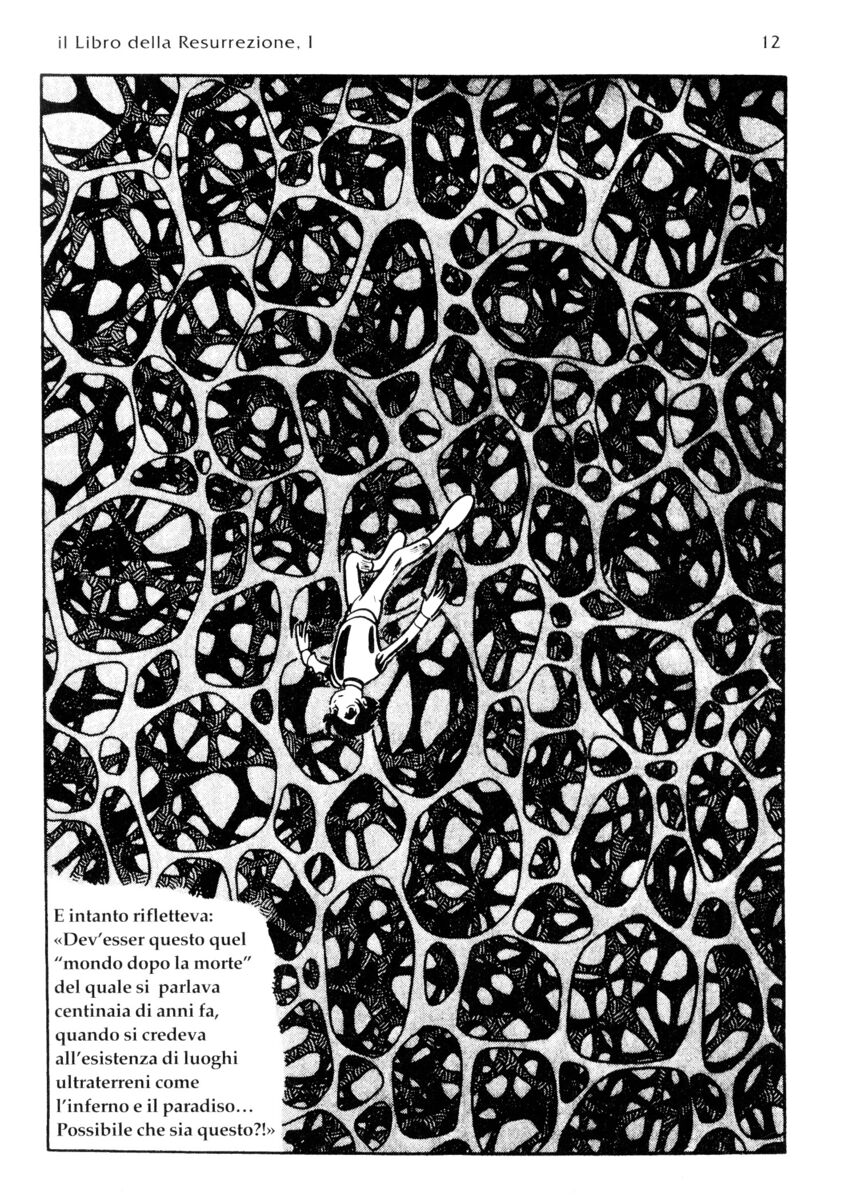 Read La fenice Manga Online