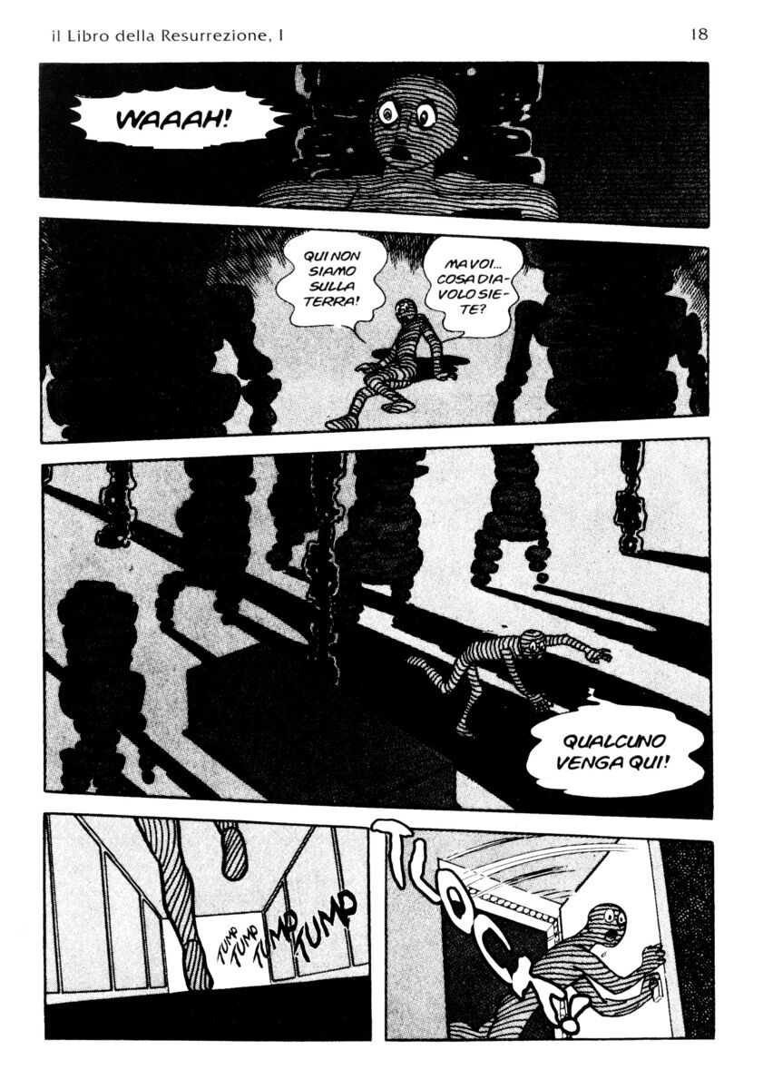 Read La fenice Manga Online