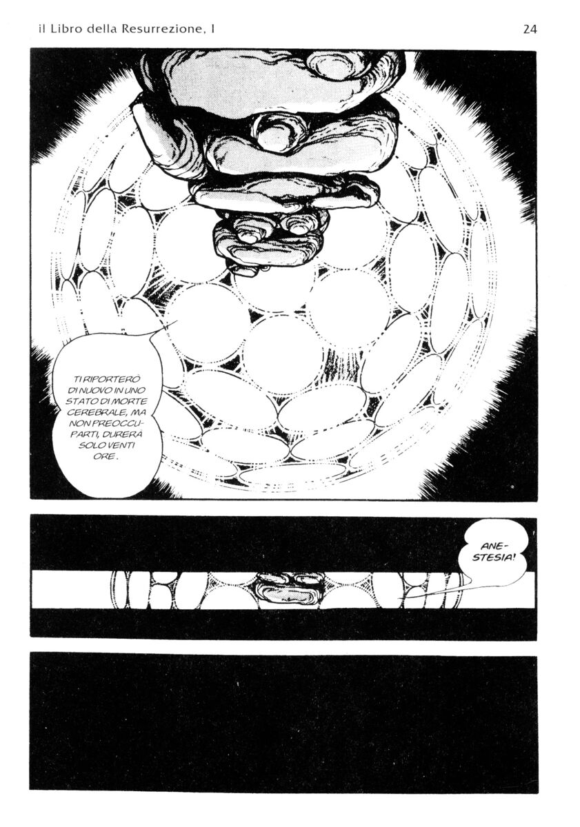 Read La fenice Manga Online