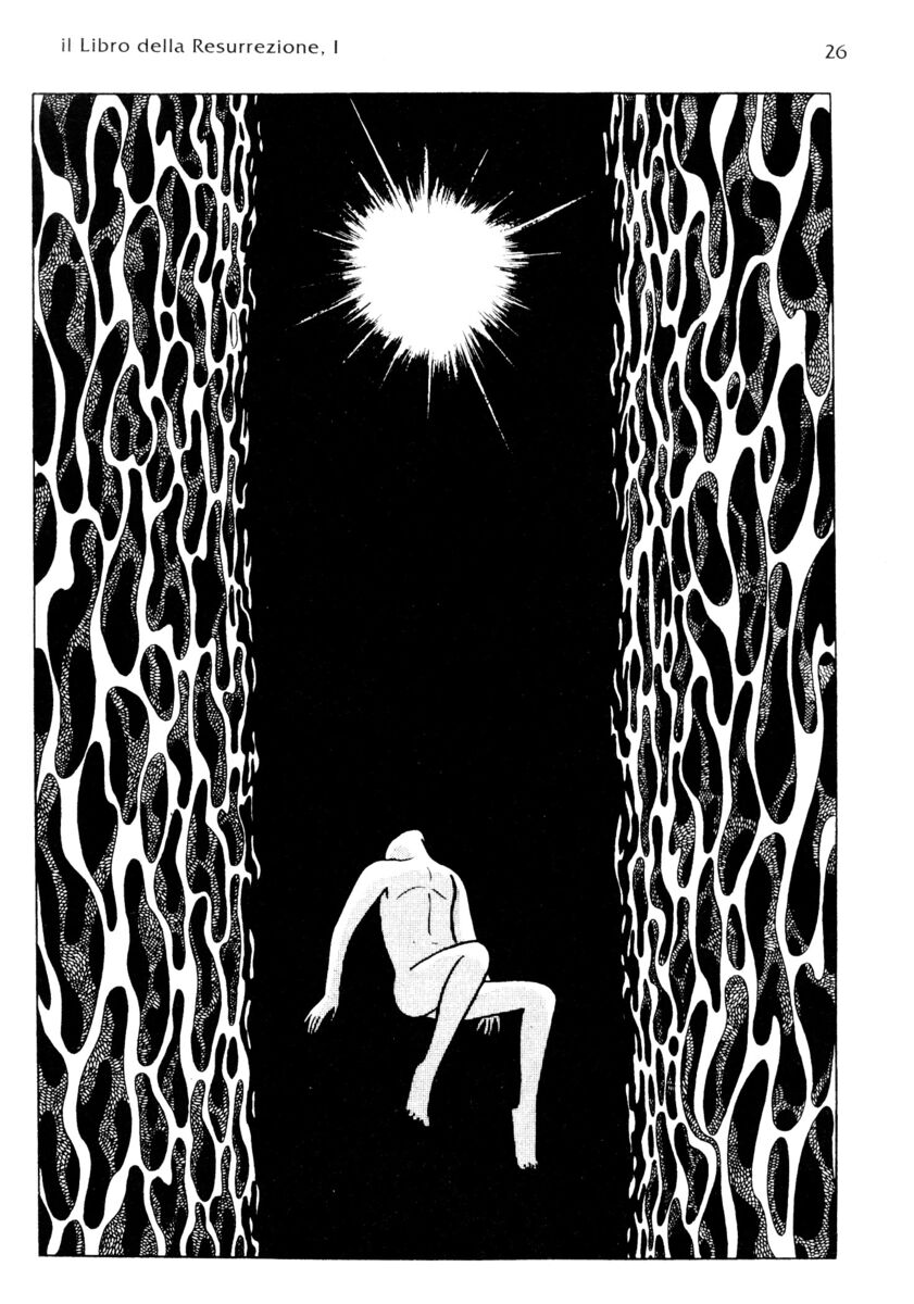 Read La fenice Manga Online