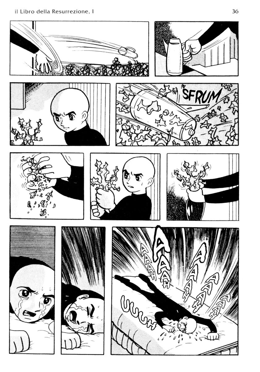 Read La fenice Manga Online