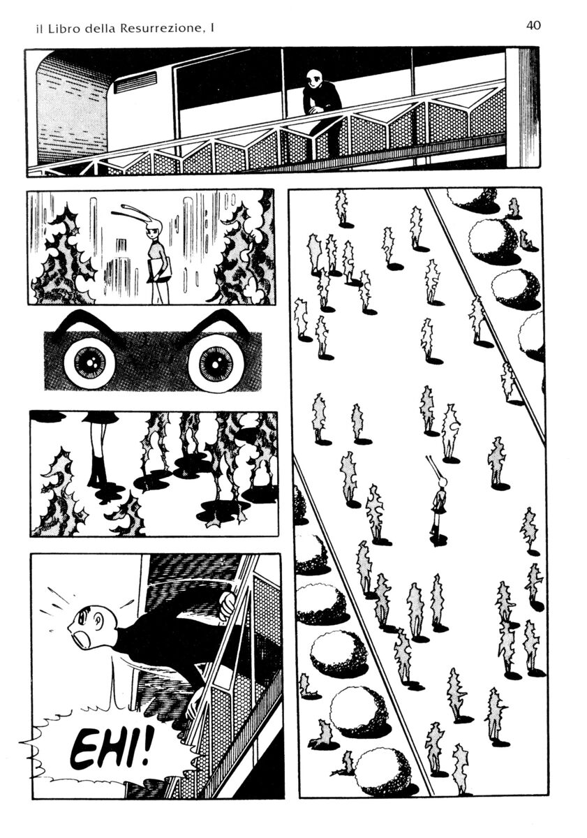 Read La fenice Manga Online