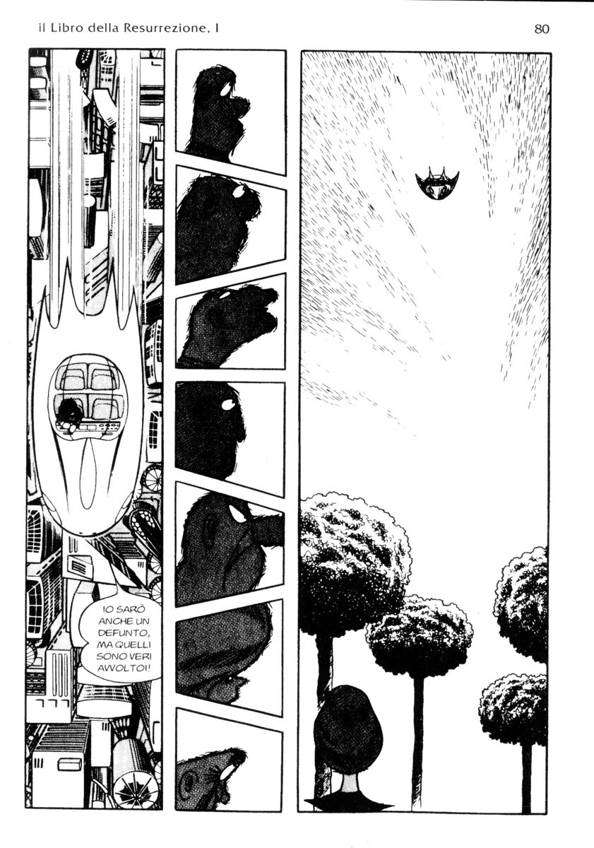 Read La fenice Manga Online