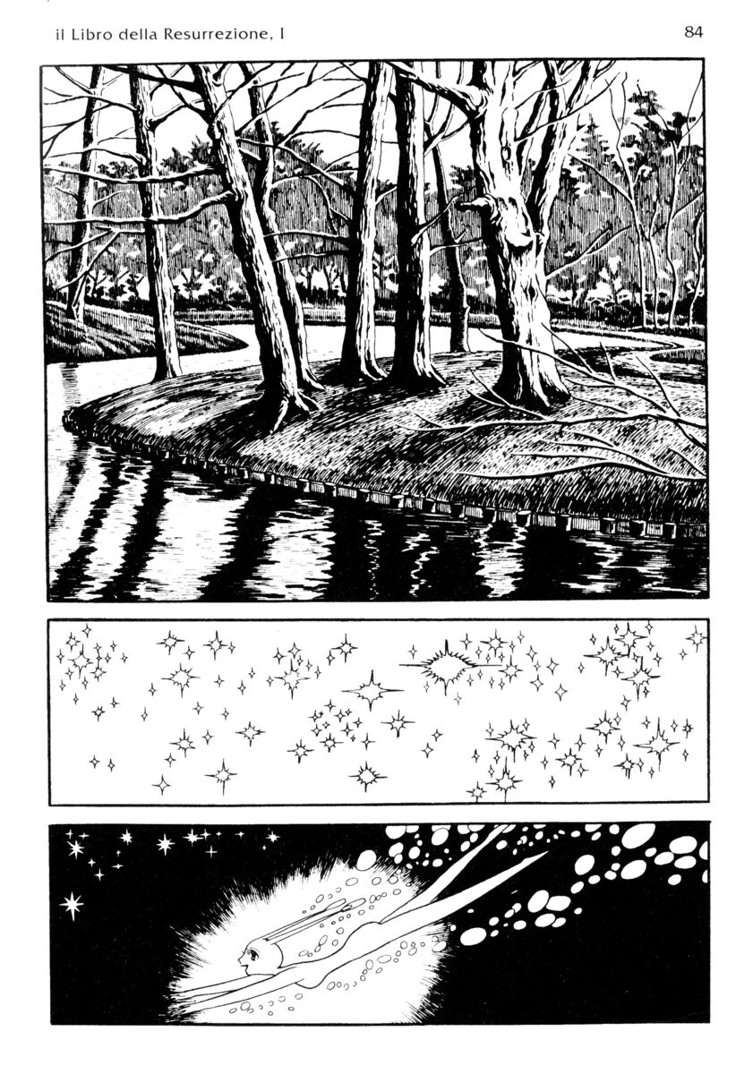 Read La fenice Manga Online