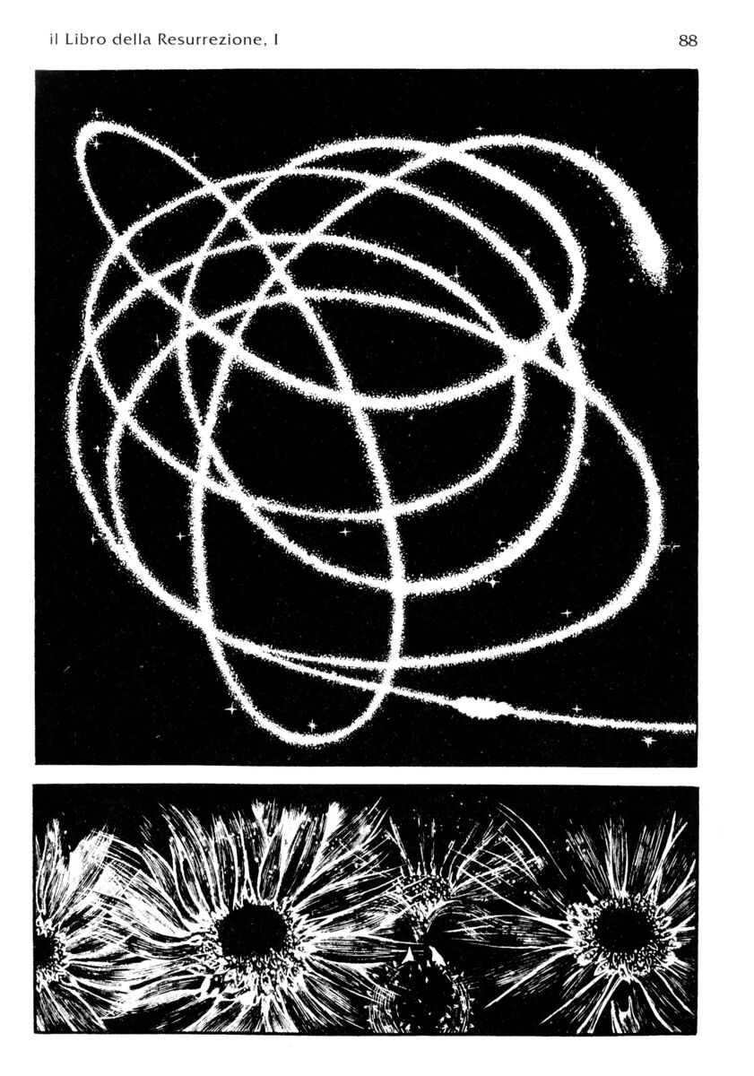 Read La fenice Manga Online