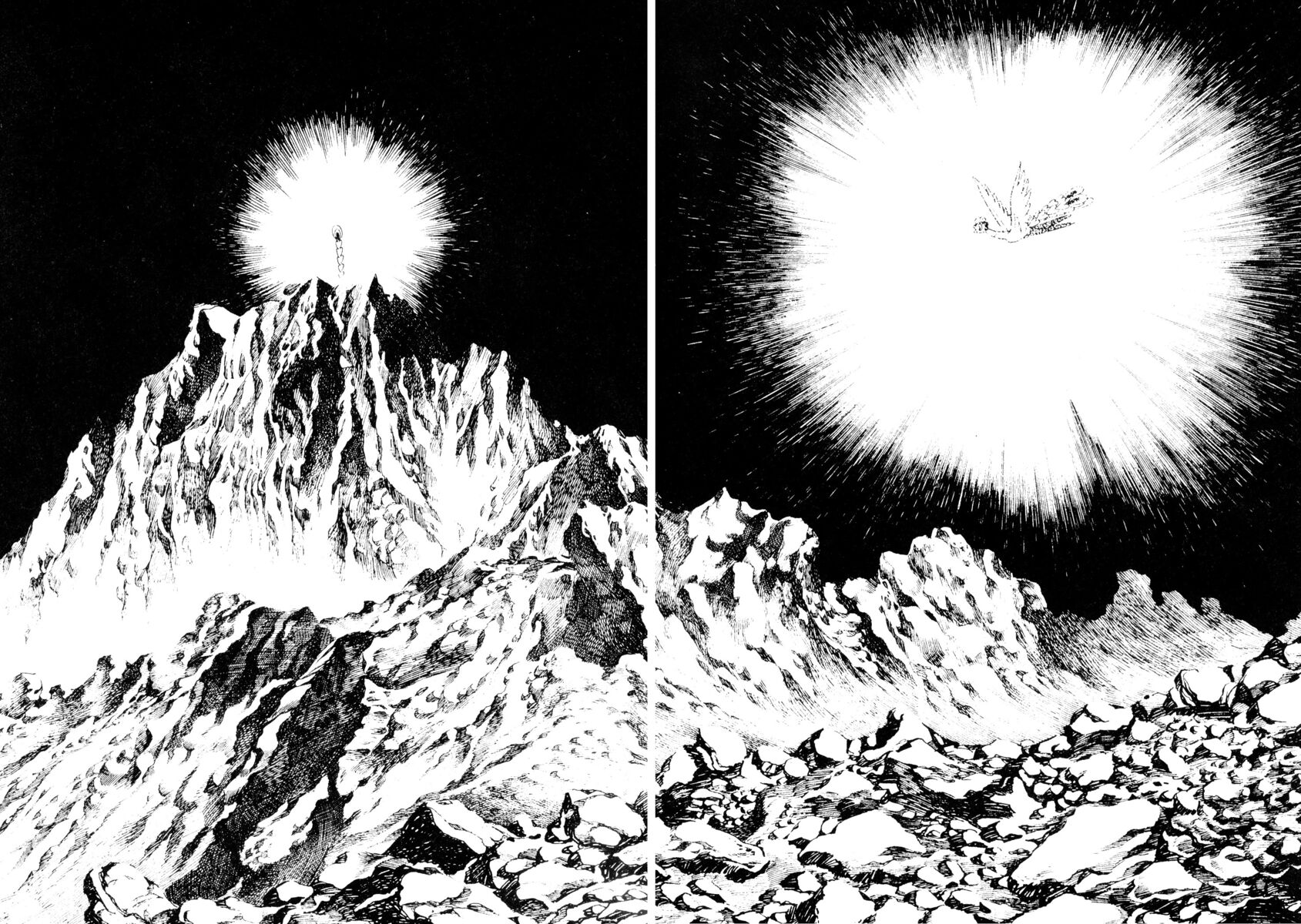 Read La fenice Manga Online