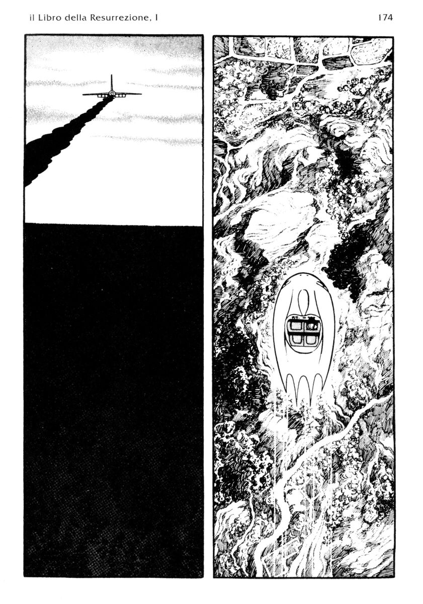 Read La fenice Manga Online