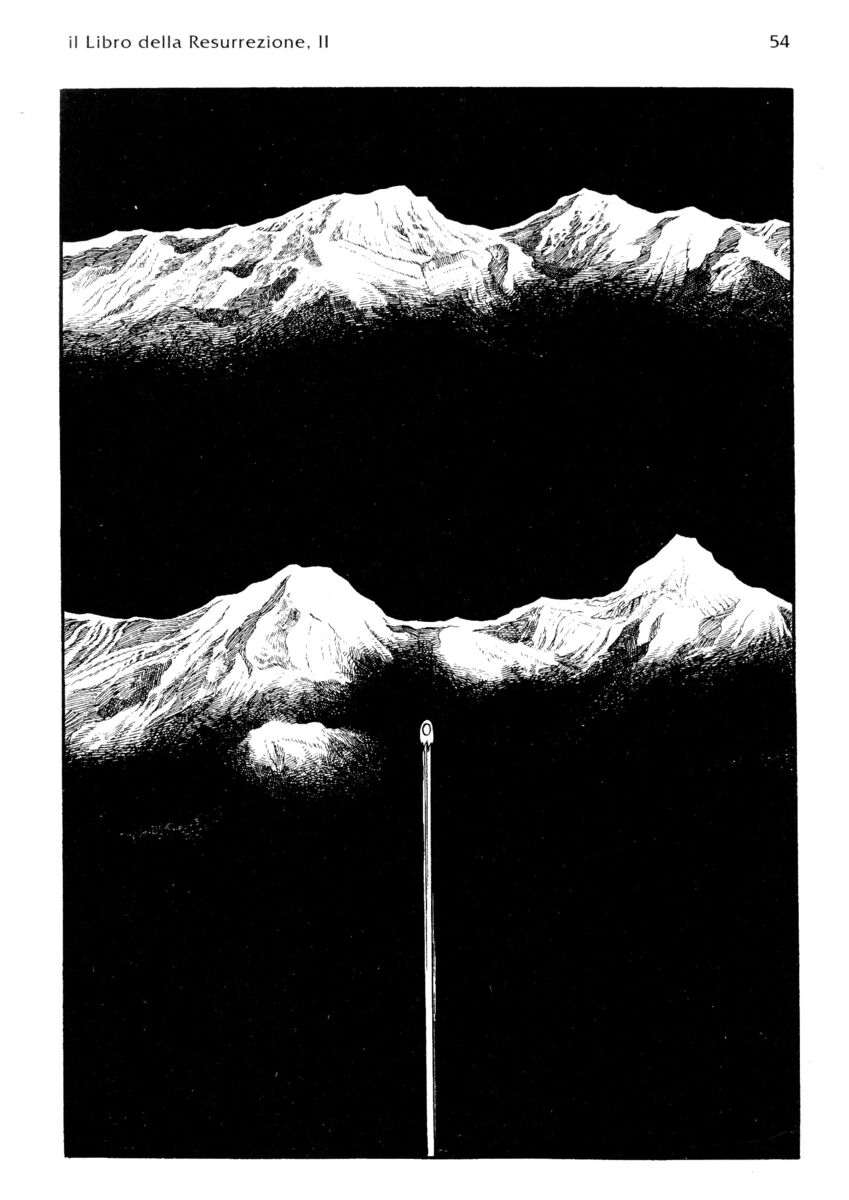 Read La fenice Manga Online