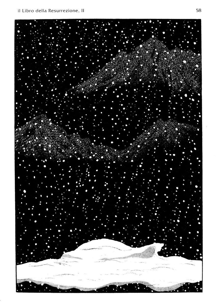 Read La fenice Manga Online