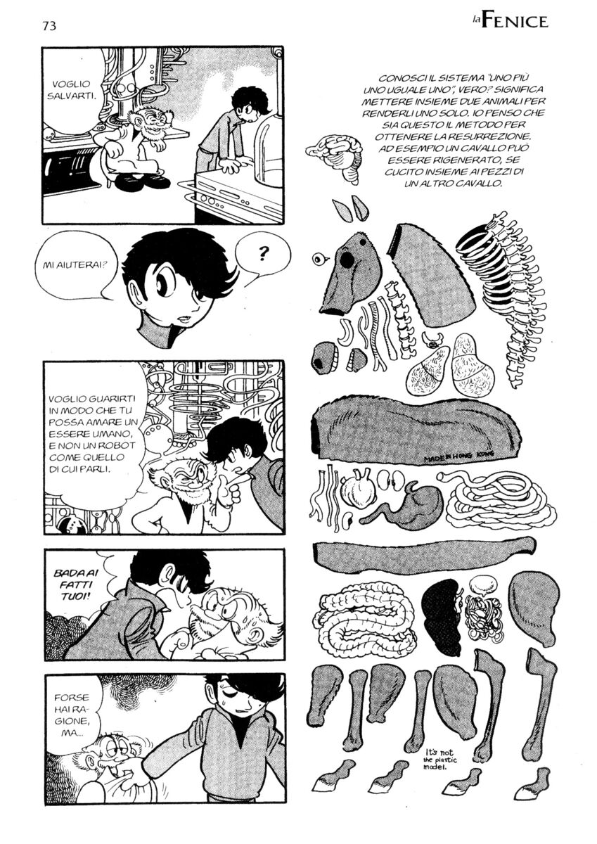 Read La fenice Manga Online