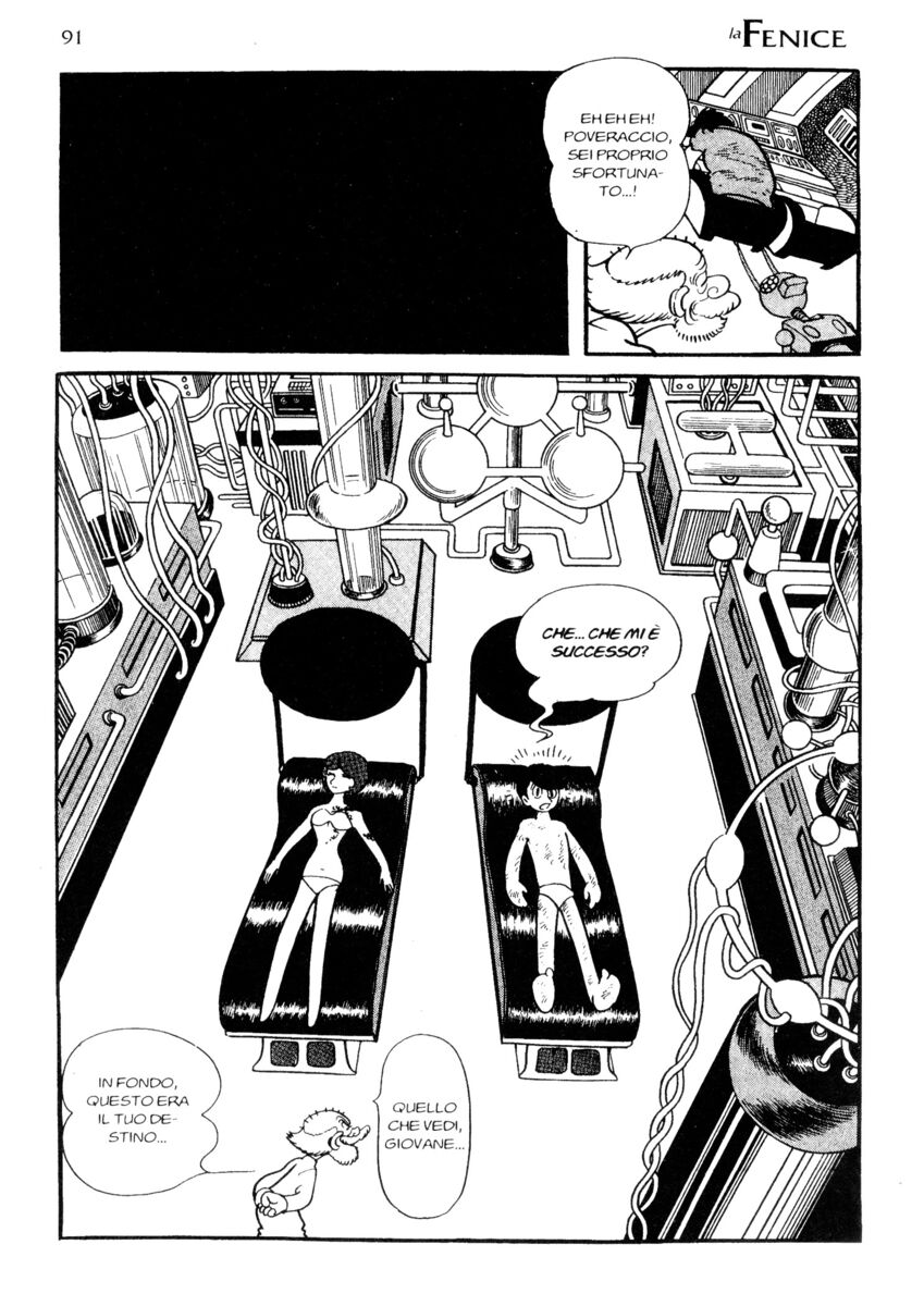 Read La fenice Manga Online