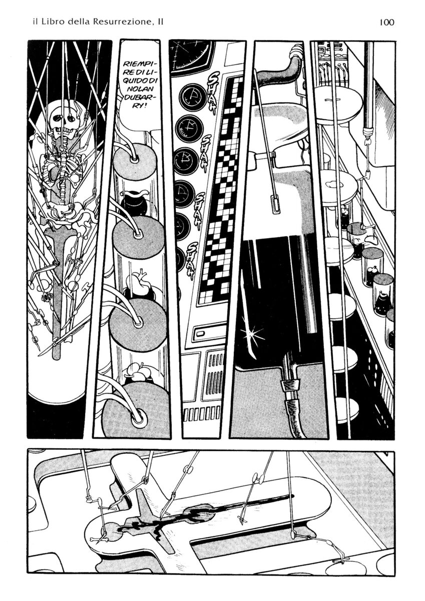 Read La fenice Manga Online