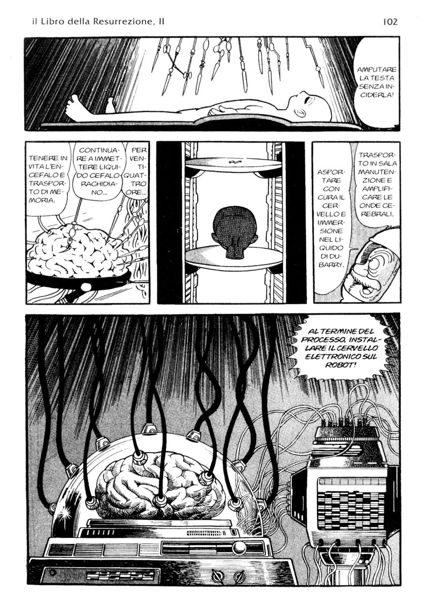 Read La fenice Manga Online