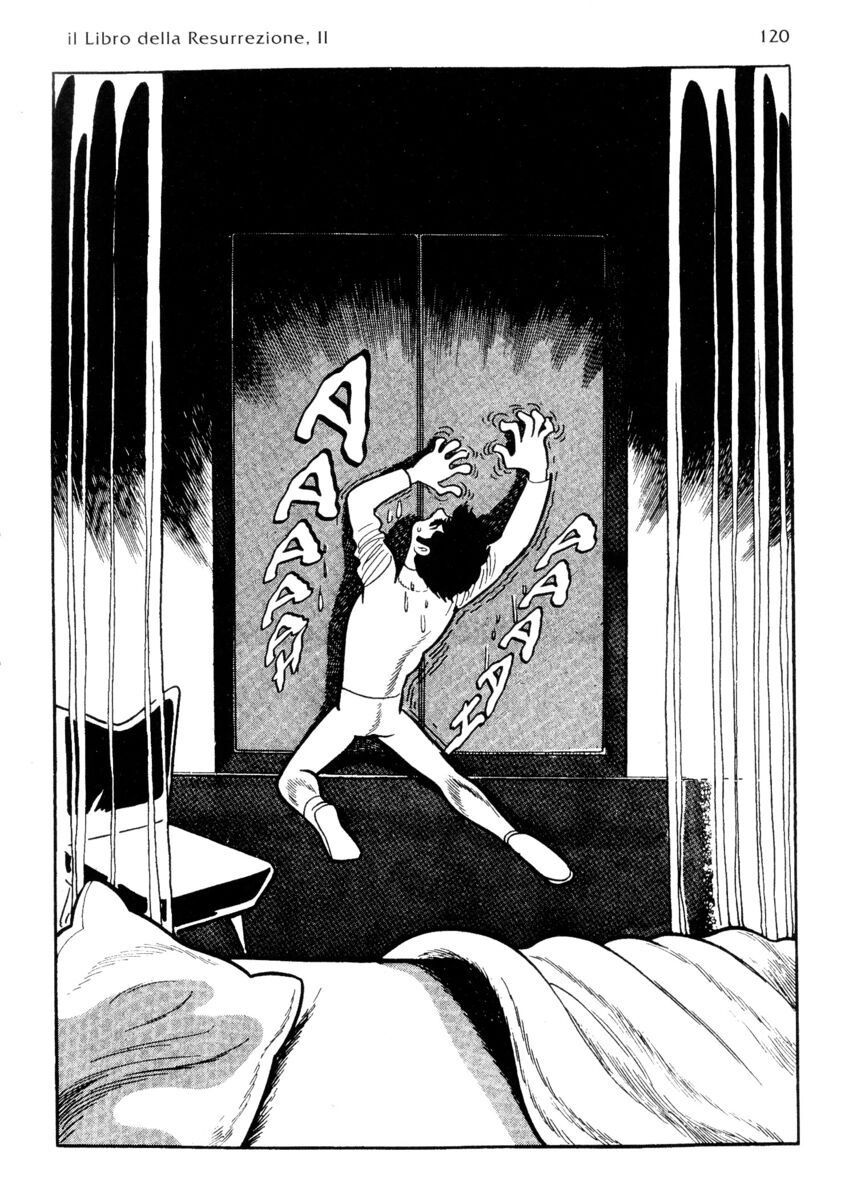 Read La fenice Manga Online