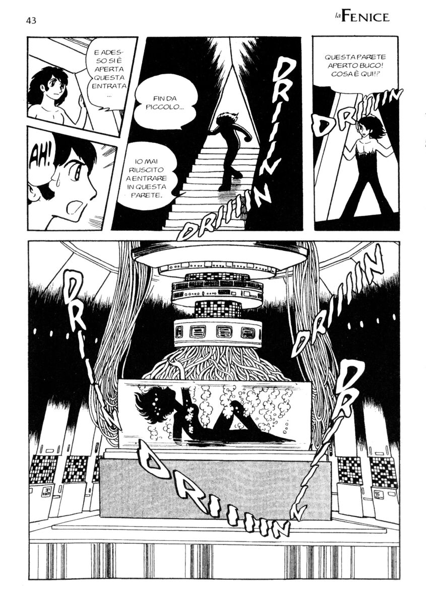 Read La fenice Manga Online