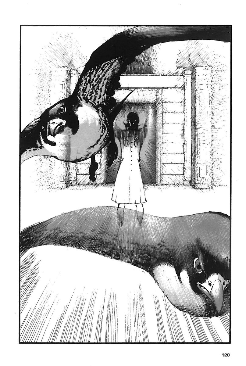 Read Peace maker Manga Online