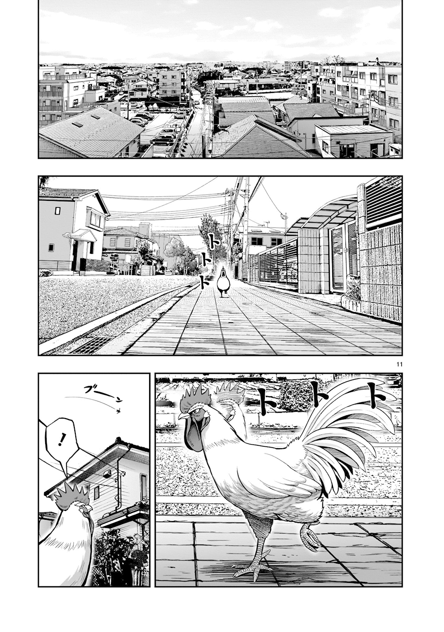 Read Rooster Fighter Manga Online