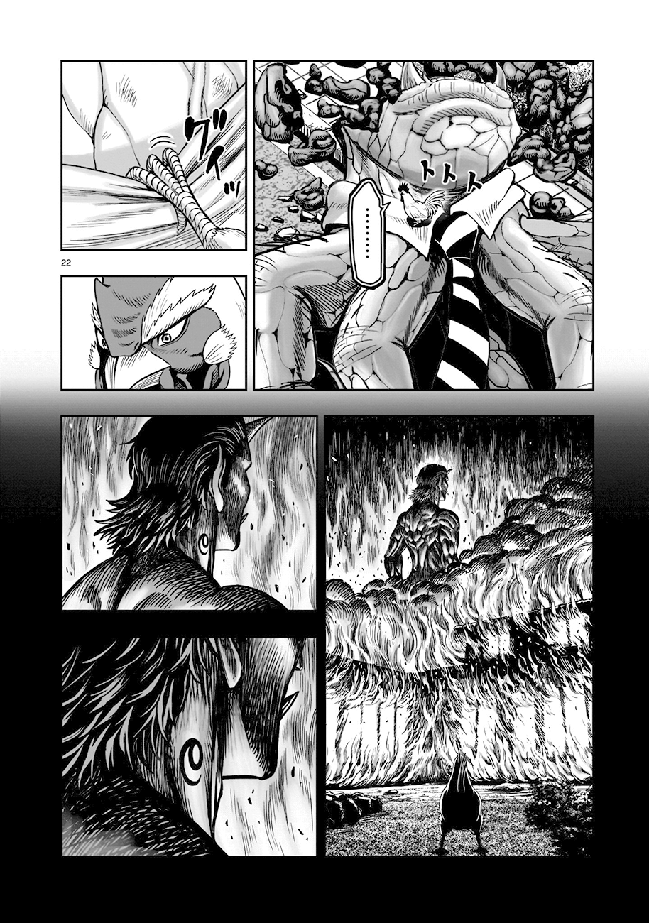 Read Rooster Fighter Manga Online