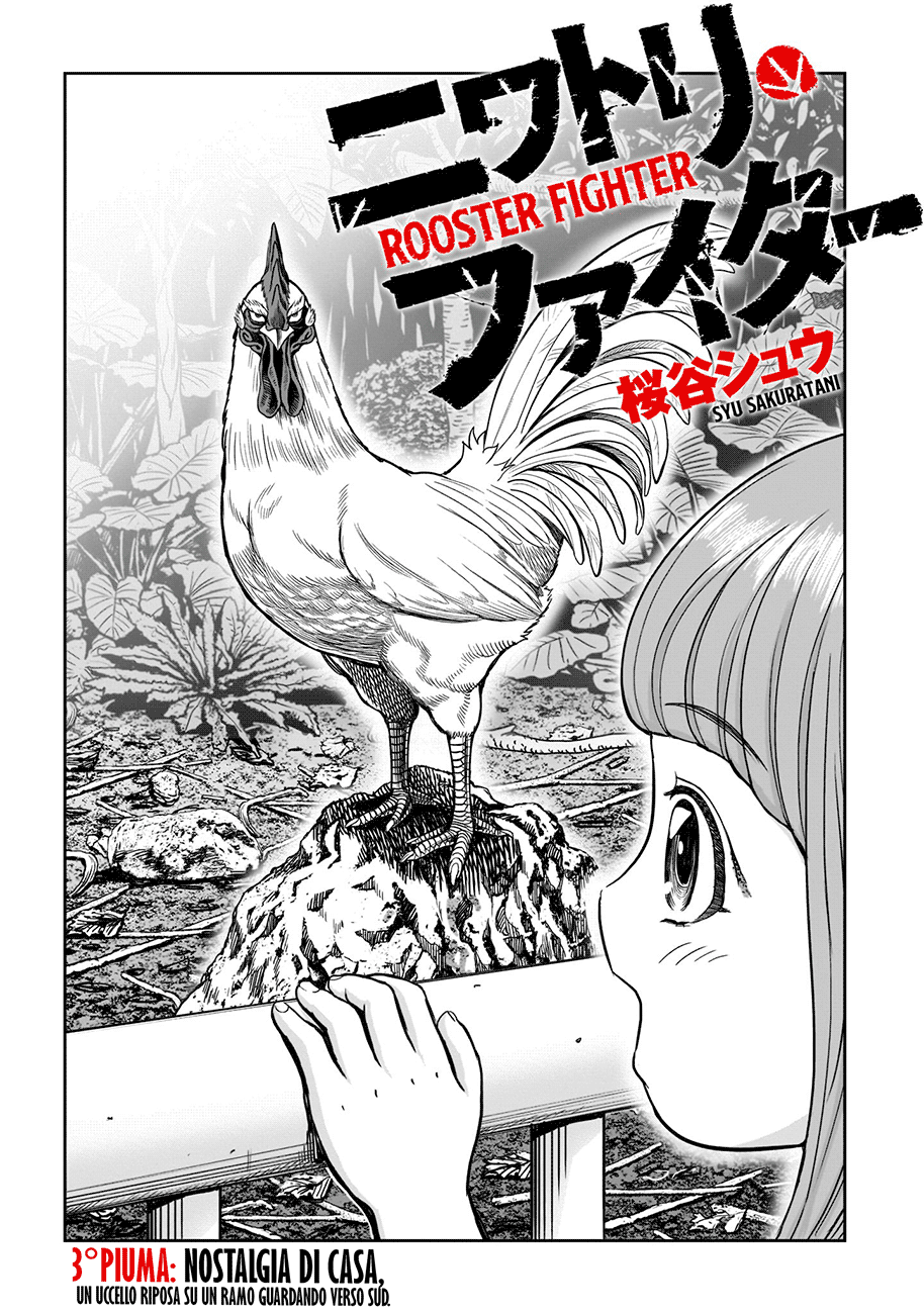 Read Rooster Fighter Manga Online