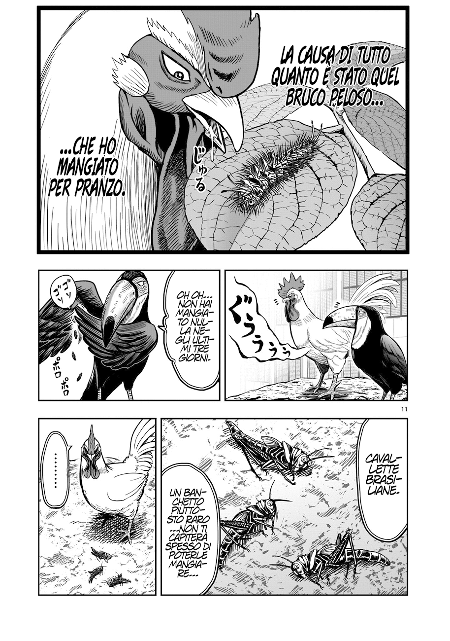 Read Rooster Fighter Manga Online