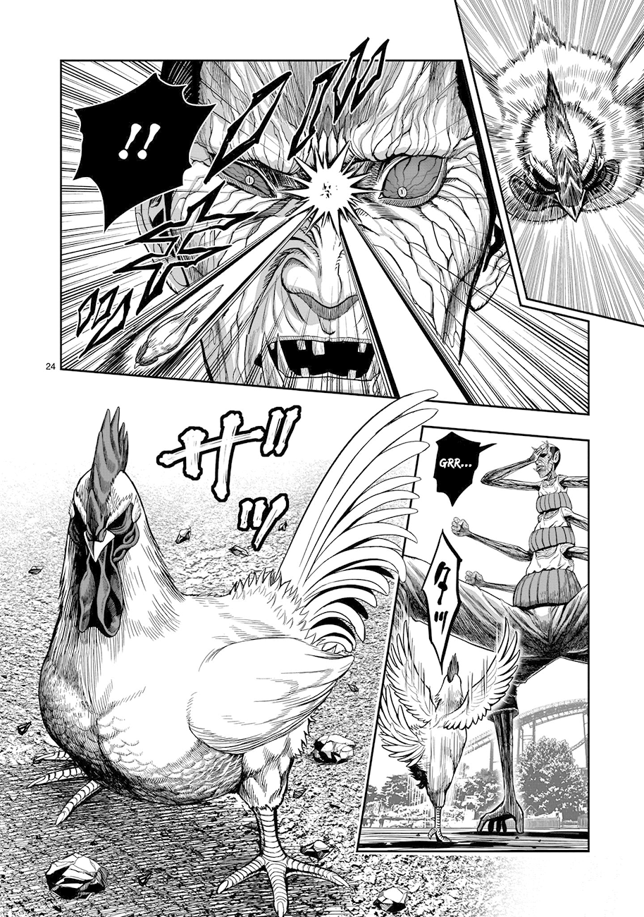 Read Rooster Fighter Manga Online