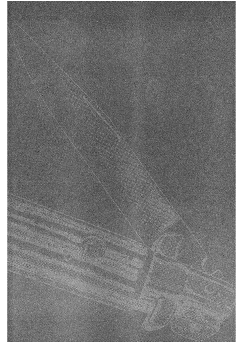 Read Shamo Manga Online