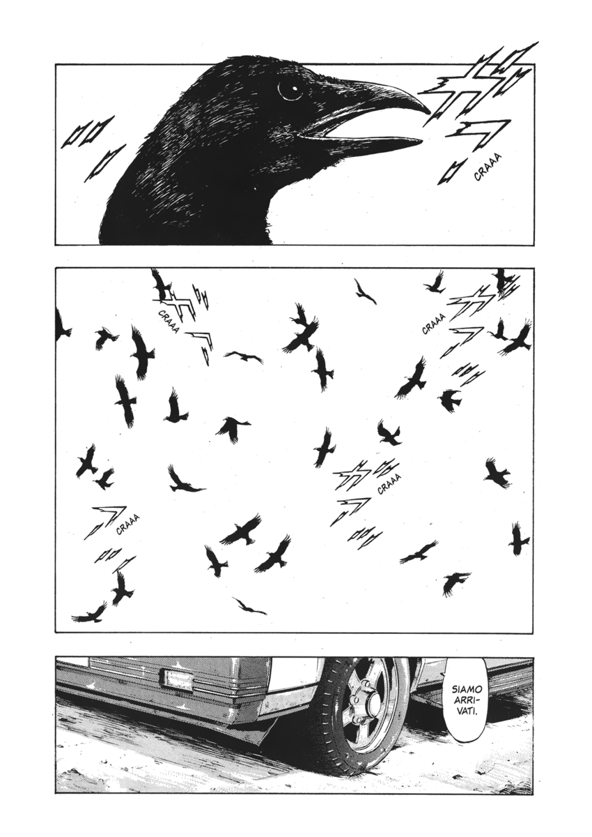 Read Shamo Manga Online