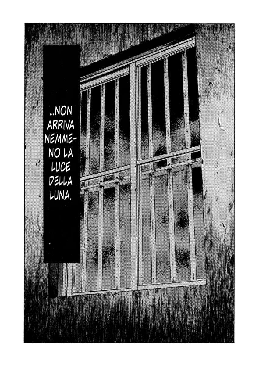 Read Shamo Manga Online