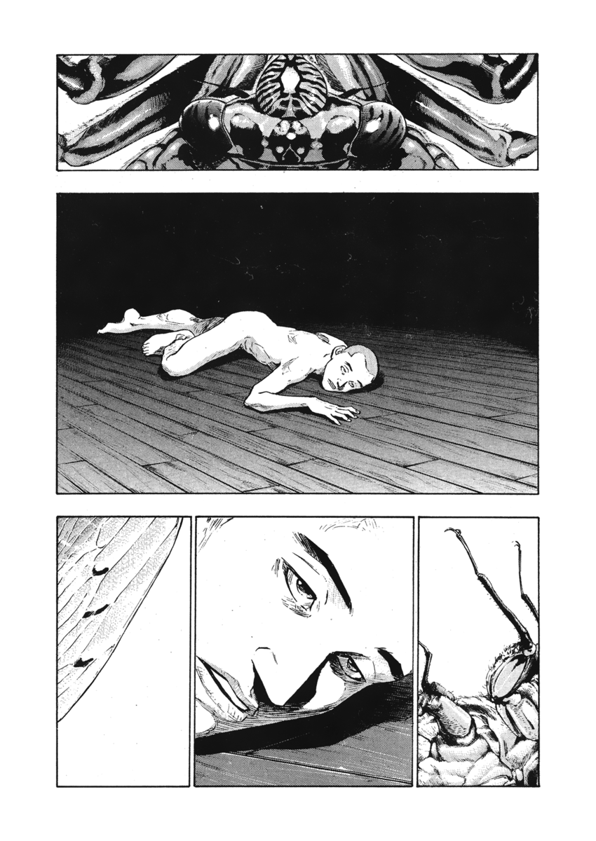 Read Shamo Manga Online