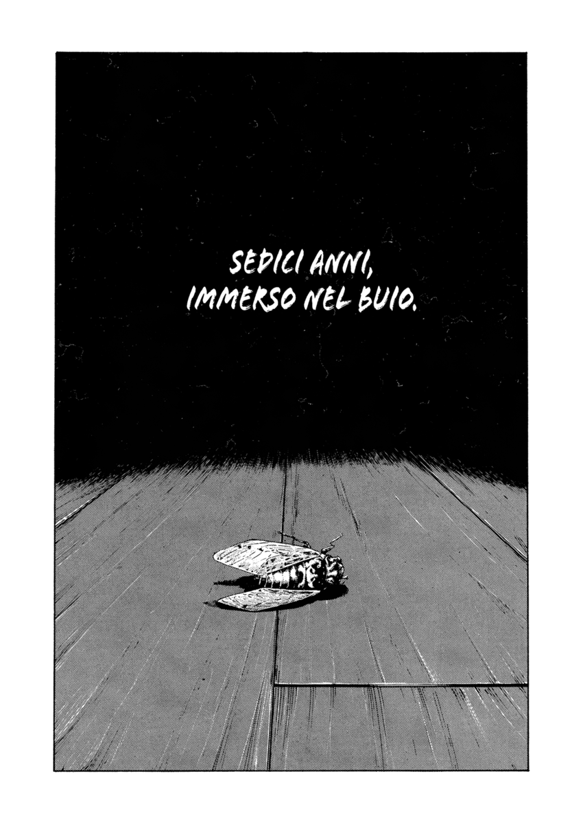 Read Shamo Manga Online