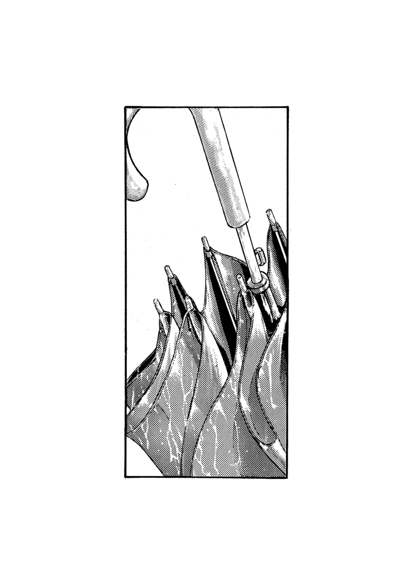 Read Shamo Manga Online