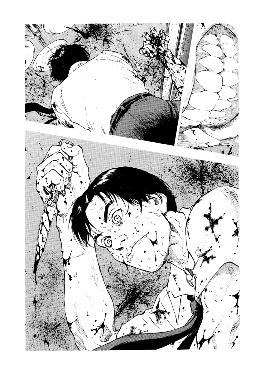 Read Shamo Manga Online