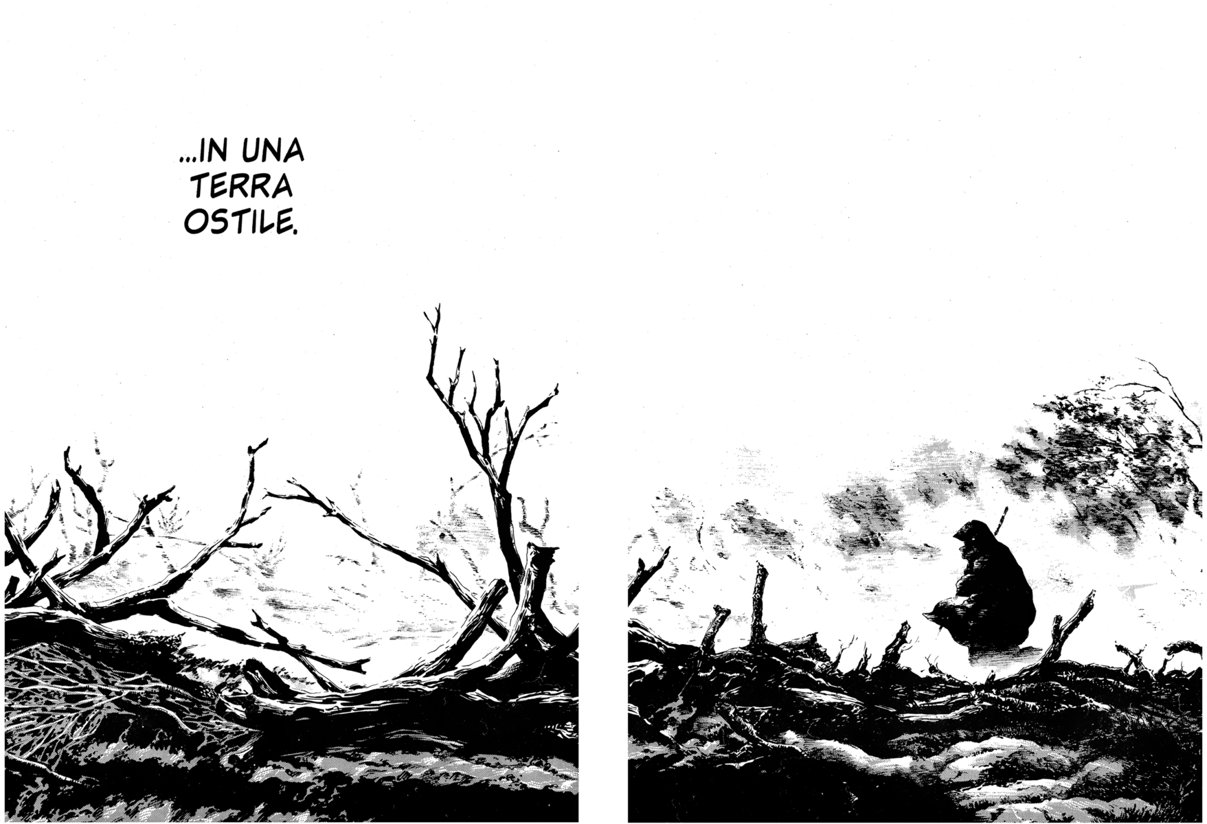 Read Shamo Manga Online