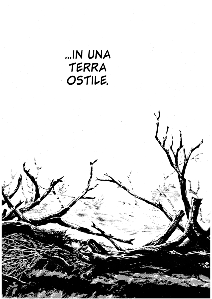 Read Shamo Manga Online