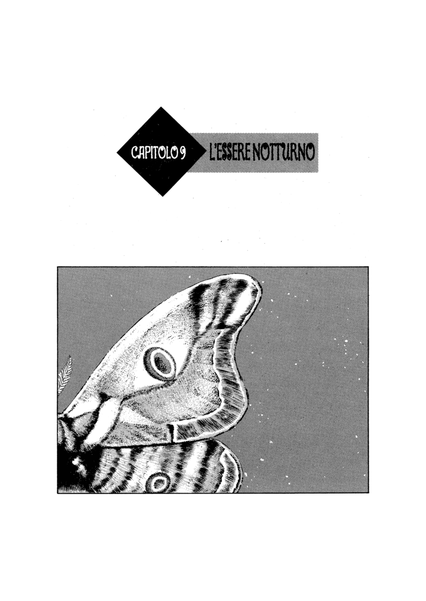 Read Shamo Manga Online