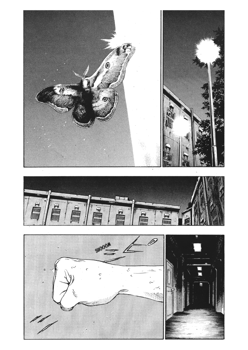 Read Shamo Manga Online