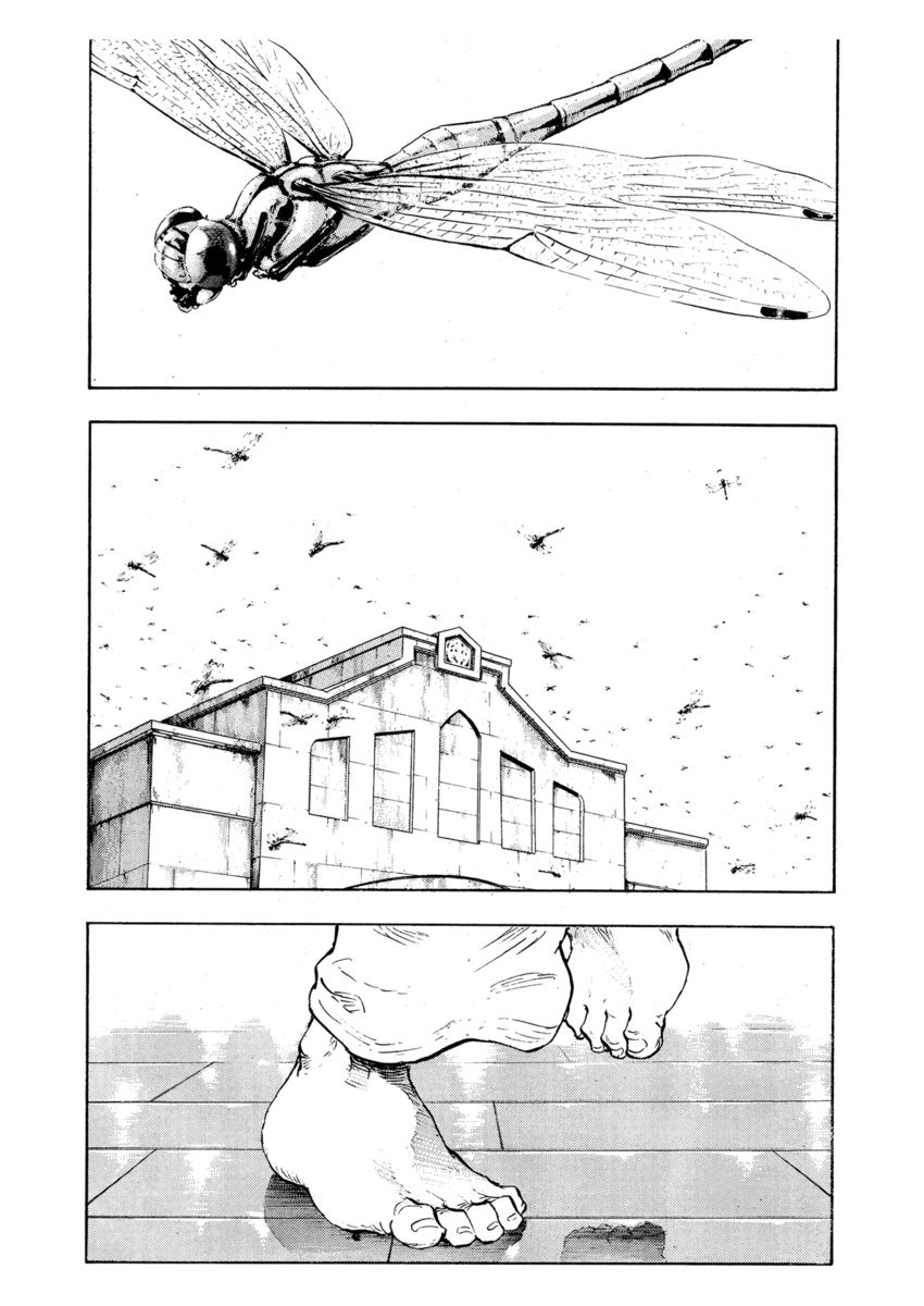 Read Shamo Manga Online