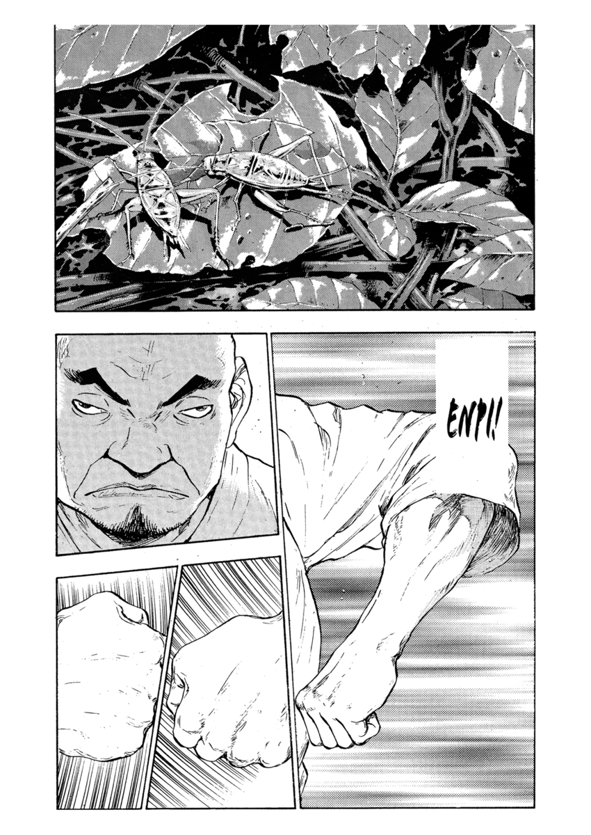 Read Shamo Manga Online