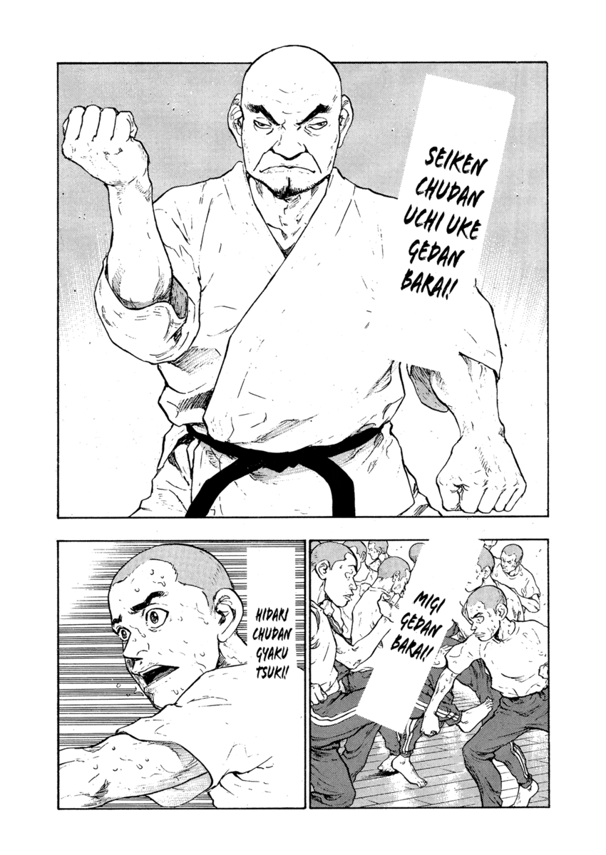 Read Shamo Manga Online