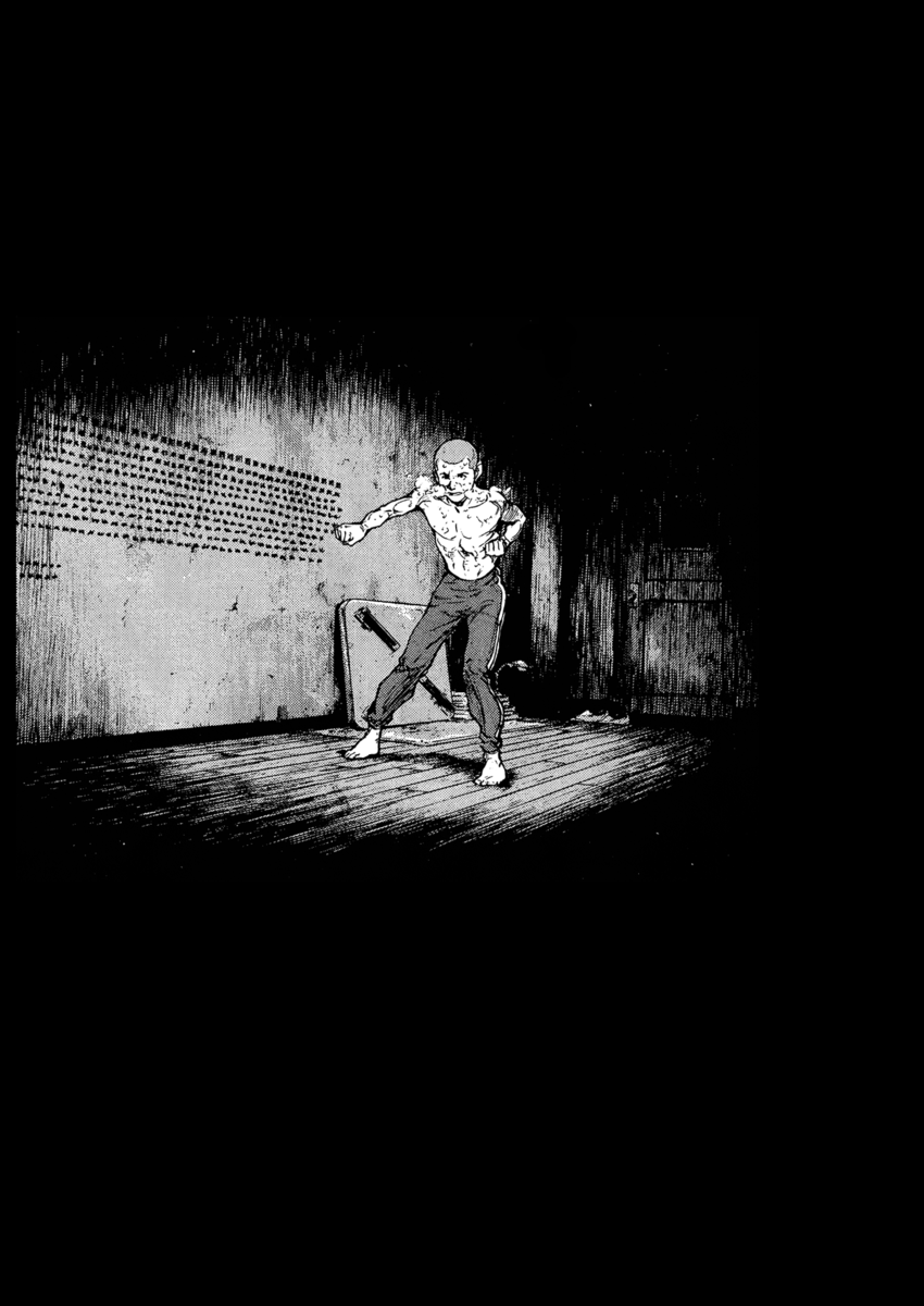 Read Shamo Manga Online