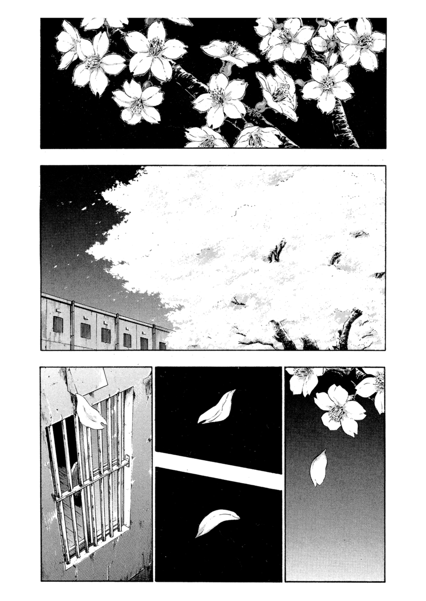 Read Shamo Manga Online