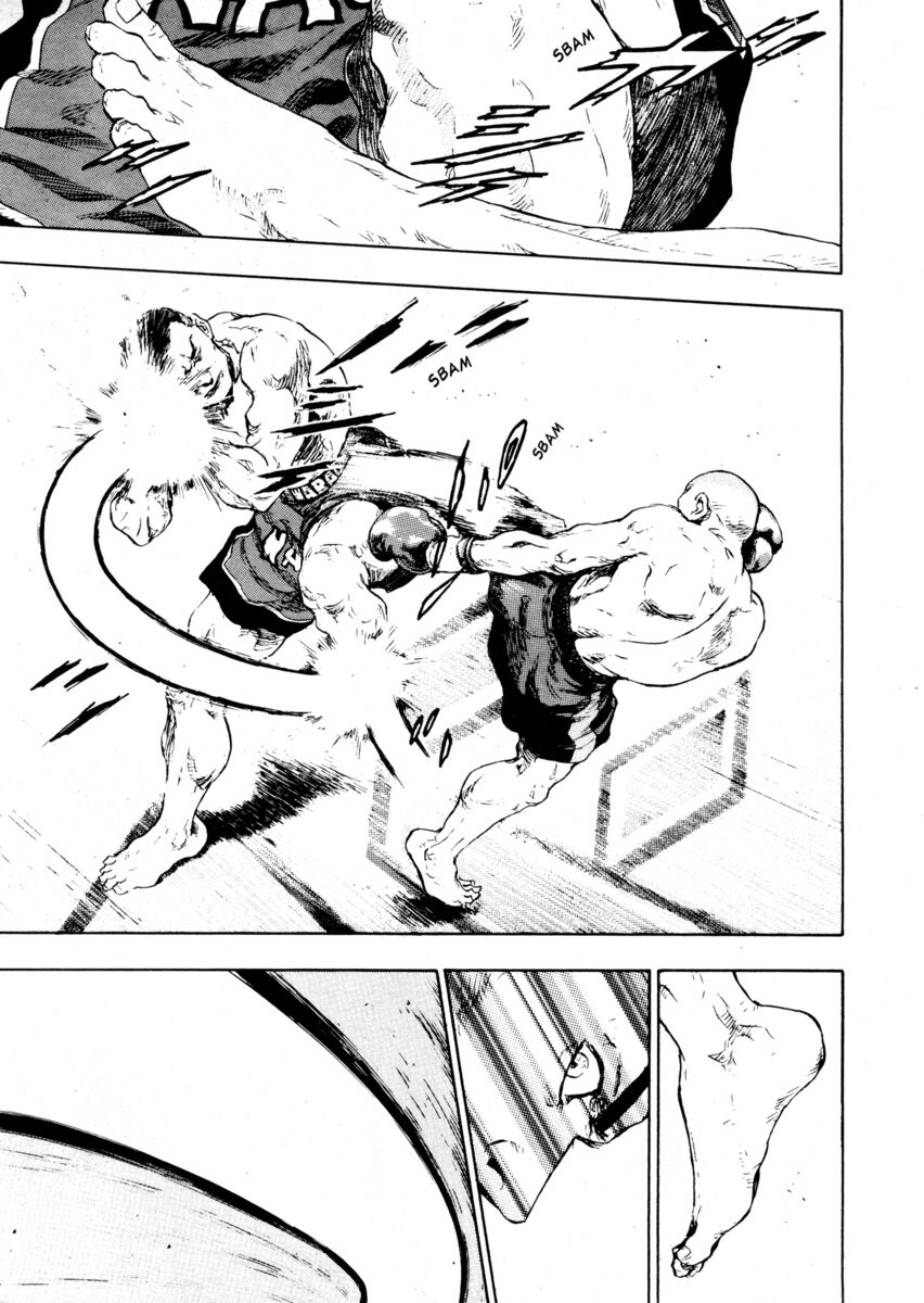 Read Shamo Manga Online