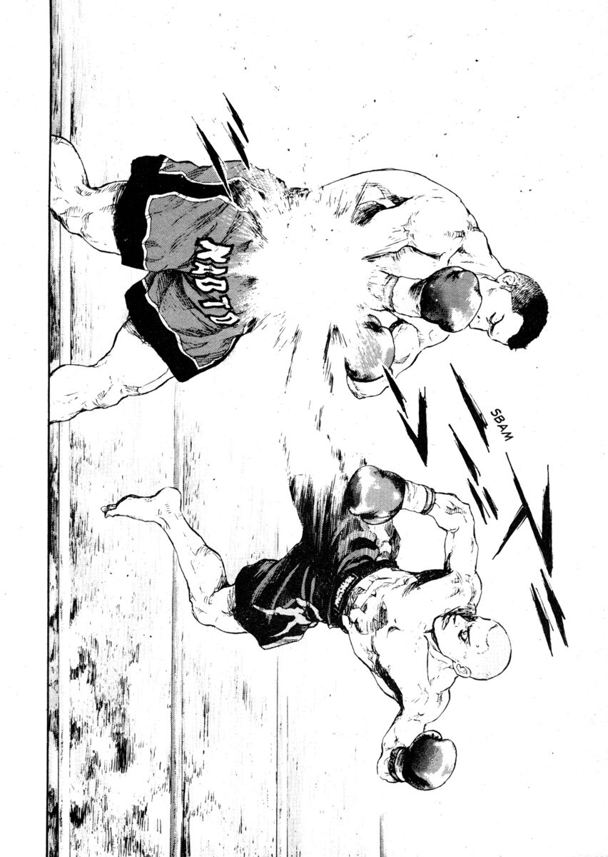 Read Shamo Manga Online