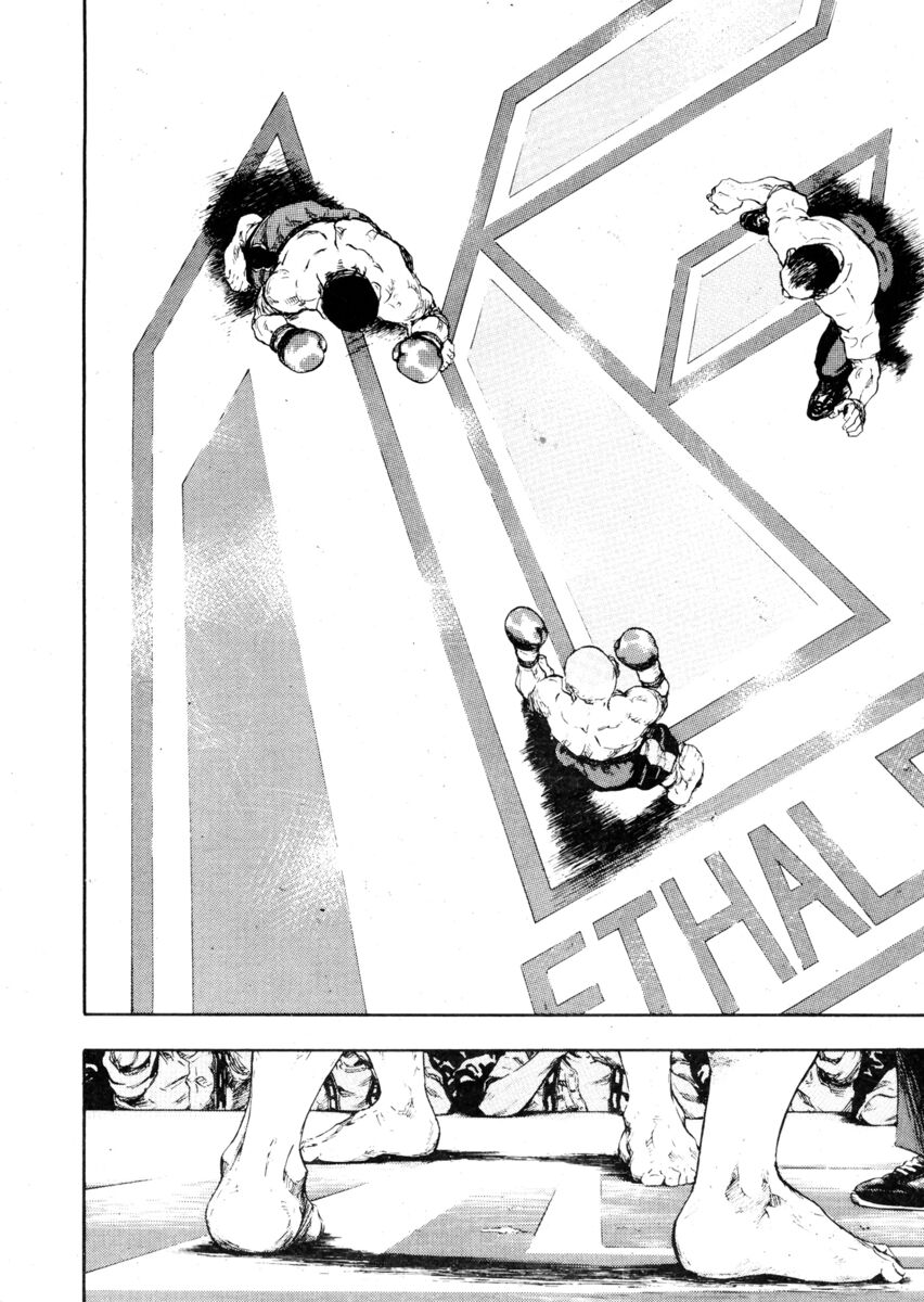 Read Shamo Manga Online