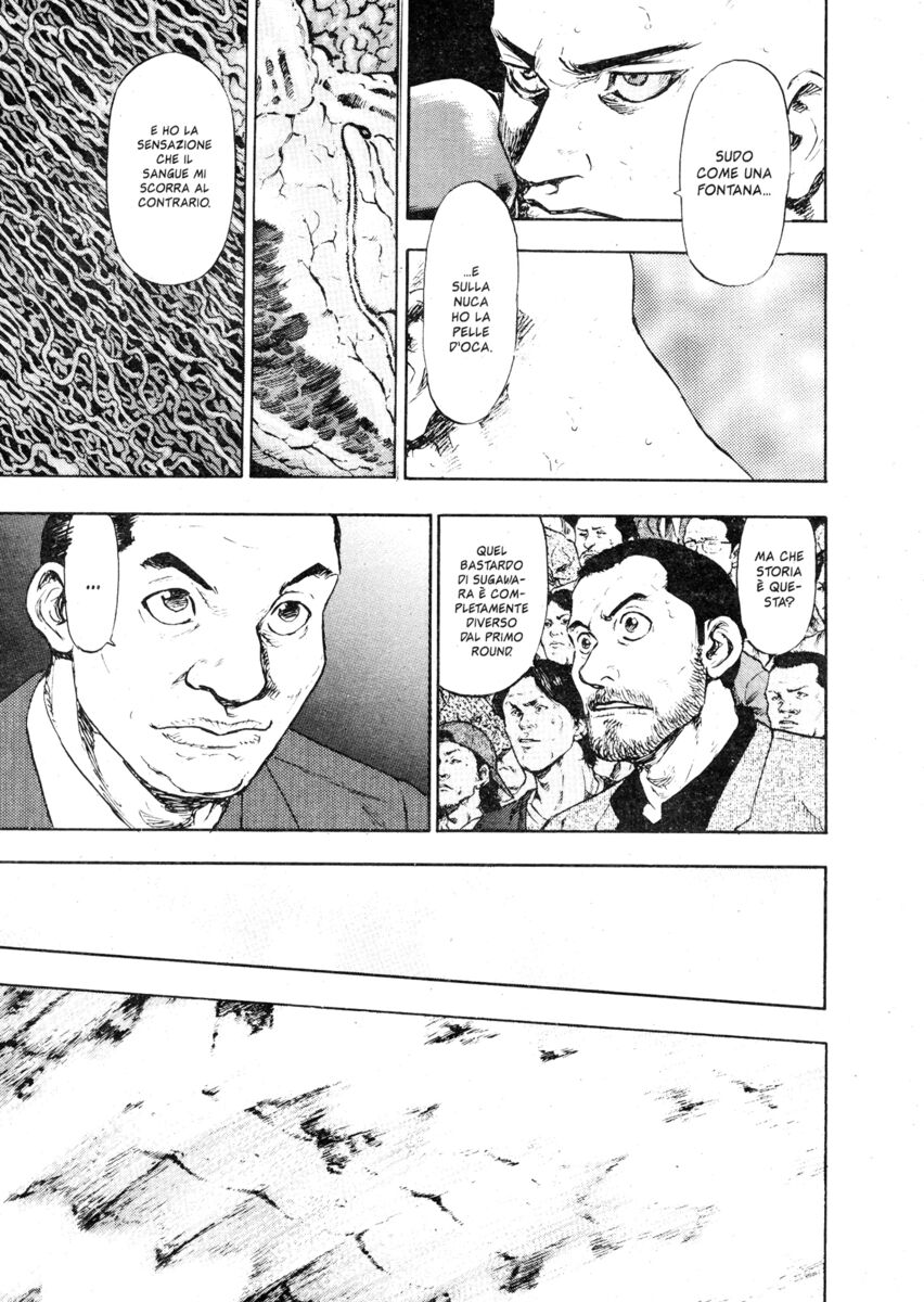 Read Shamo Manga Online